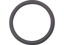 +GF+ O-Ring za privijala d= 20 mm 749.410.006 FPM