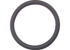 +GF+  O-Ring   d= 10 mm  748.410.004 EPDM